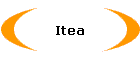 Itea