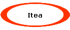 Itea